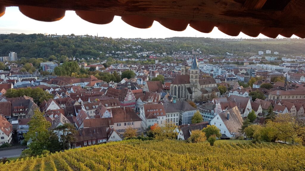 Blick von der Burg Esslingen